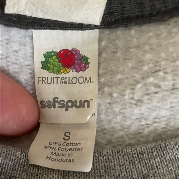 Fruit of the Loom Jurassic Park Gray Long Sleeve Shirt - Picture 3 of 8